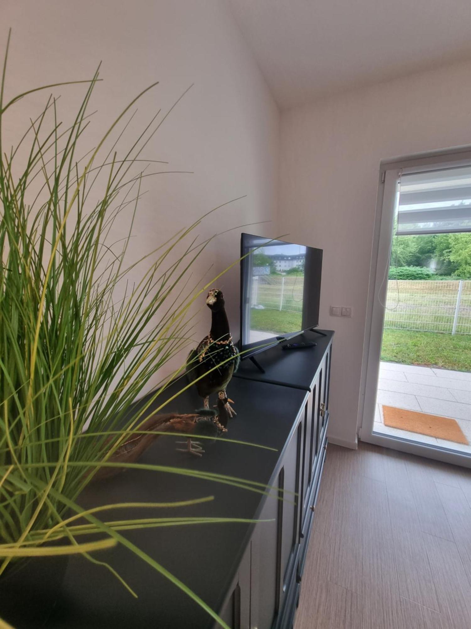 Ferienwohnung Im Palais Am See Am Goitzschesee Bitterfeld-Wolfen ห้อง รูปภาพ